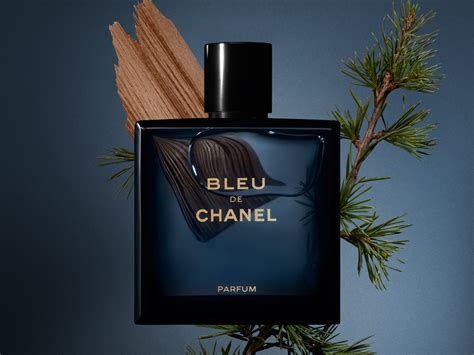 boue de chanel|Chanel bleu.